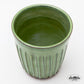 6 Green Mugs - in nice gift box